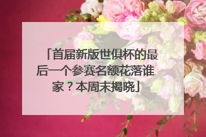 首届新版世俱杯的最后一个参赛名额花落谁家？本周末揭晓