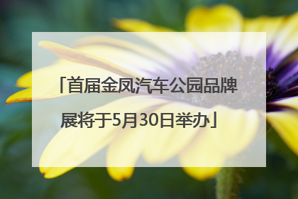 首届金凤汽车公园品牌展将于5月30日举办