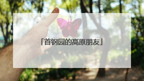 首钢园的高原朋友