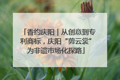 香约庆阳｜从创意到专利商标，庆阳“剪云裳”为非遗市场化探路