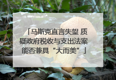 马斯克直言失望 质疑政府税收与支出法案能否兼具“大而美”