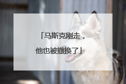 马斯克刚走，他也被撤换了