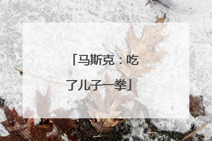马斯克：吃了儿子一拳