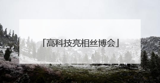 高科技亮相丝博会