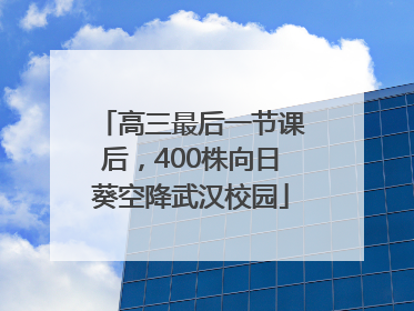 高三最后一节课后，400株向日葵空降武汉校园