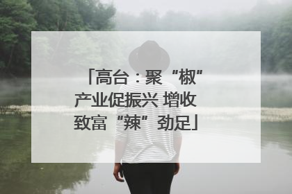 高台：聚“椒”产业促振兴 增收致富“辣”劲足