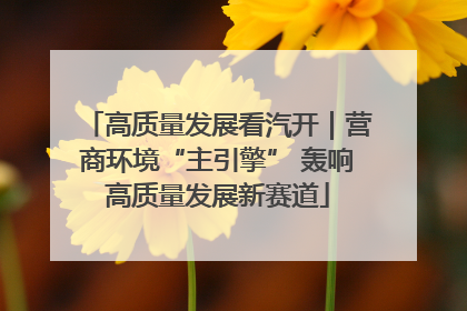 高质量发展看汽开｜营商环境“主引擎” 轰响高质量发展新赛道