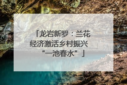 龙岩新罗：兰花经济激活乡村振兴“一池春水”