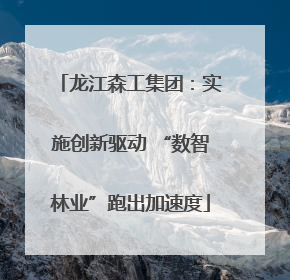 龙江森工集团：实施创新驱动 “数智林业”跑出加速度