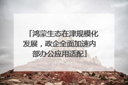鸿蒙生态在津规模化发展，政企全面加速内部办公应用适配