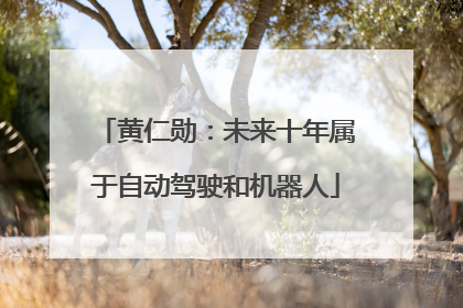 黄仁勋：未来十年属于自动驾驶和机器人