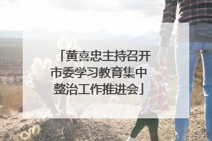 黄喜忠主持召开市委学习教育集中整治工作推进会
