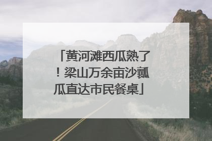 黄河滩西瓜熟了！梁山万余亩沙瓤瓜直达市民餐桌