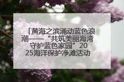 黄海之滨涌动蓝色浪潮——“共筑美丽海湾 守护蓝色家园”2025海洋保护净滩活动暨“美丽江苏—江河湖海青蓝行”海洋篇在连云港举行
