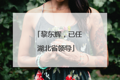 黎东辉，已任湖北省领导