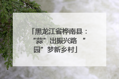 黑龙江省桦南县：“蒜”出振兴路 “园”梦新乡村