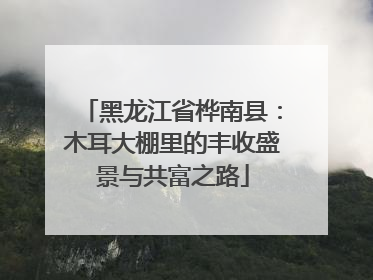 黑龙江省桦南县：木耳大棚里的丰收盛景与共富之路