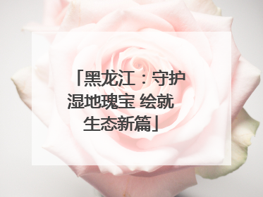 黑龙江：守护湿地瑰宝 绘就生态新篇