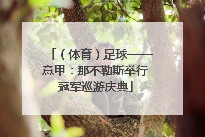 （体育）足球——意甲：那不勒斯举行冠军巡游庆典