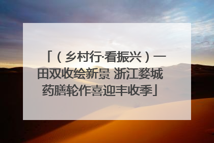 （乡村行·看振兴）一田双收绘新景 浙江婺城药膳轮作喜迎丰收季