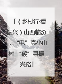 （乡村行·看振兴）山西临汾：“电”亮小山村 “碳”寻振兴路