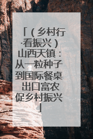 （乡村行·看振兴）山西天镇：从一粒种子到国际餐桌 出口富农促乡村振兴