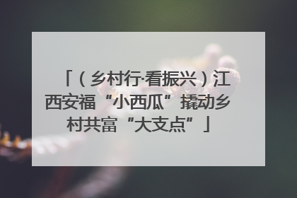 （乡村行·看振兴）江西安福“小西瓜”撬动乡村共富“大支点”