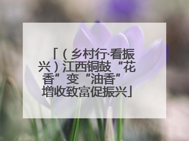 （乡村行·看振兴）江西铜鼓“花香”变“油香” 增收致富促振兴