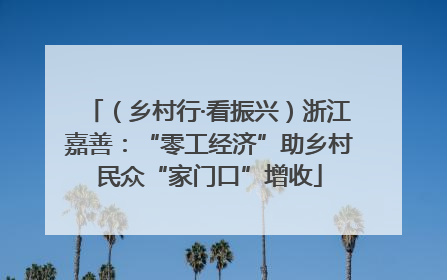 （乡村行·看振兴）浙江嘉善：“零工经济”助乡村民众“家门口”增收