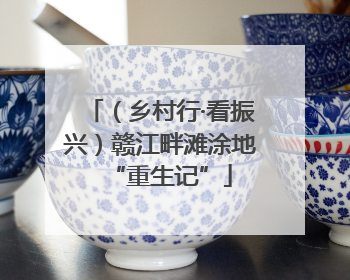 （乡村行·看振兴）赣江畔滩涂地“重生记”