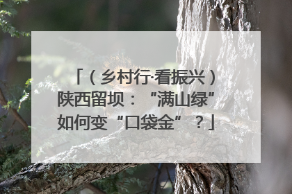 （乡村行·看振兴）陕西留坝：“满山绿”如何变“口袋金”？
