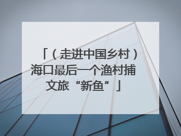 （走进中国乡村）海口最后一个渔村捕文旅“新鱼”