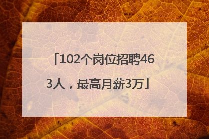 102个岗位招聘463人，最高月薪3万