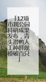 12项市属公园科研成果发布，青头潜鸭人工种群规模破百只