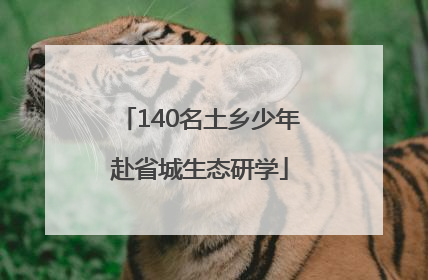 140名土乡少年赴省城生态研学