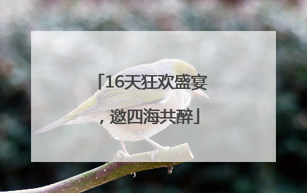 16天狂欢盛宴，邀四海共醉