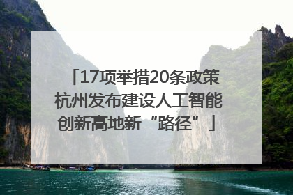 17项举措20条政策 杭州发布建设人工智能创新高地新“路径”