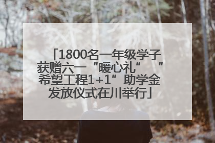 1800名一年级学子获赠六一“暖心礼” “希望工程1+1”助学金发放仪式在川举行