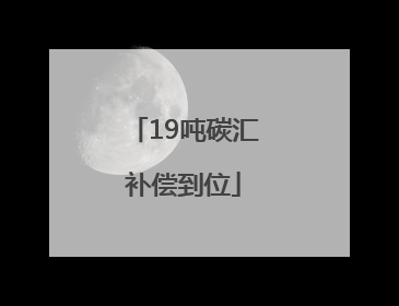 19吨碳汇补偿到位