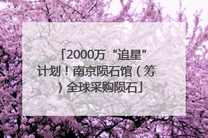 2000万“追星”计划！南京陨石馆（筹）全球采购陨石