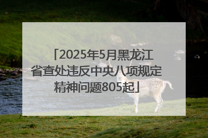 2025年5月黑龙江省查处违反中央八项规定精神问题805起