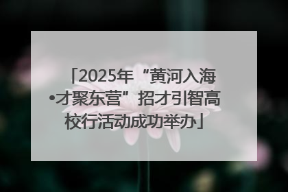 2025年“黄河入海•才聚东营”招才引智高校行活动成功举办