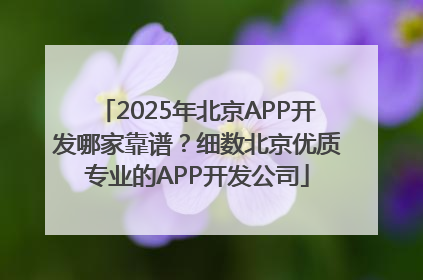 2025年北京APP开发哪家靠谱？细数北京优质专业的APP开发公司