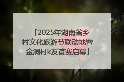 2025年湖南省乡村文化旅游节联动地暨金洞村k友谊赛启幕