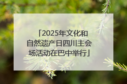 2025年文化和自然遗产日四川主会场活动在巴中举行
