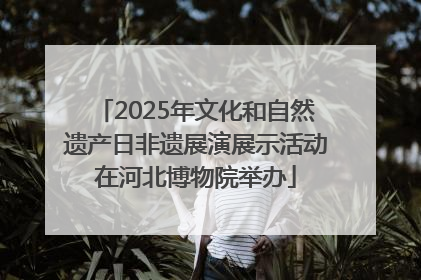 2025年文化和自然遗产日非遗展演展示活动在河北博物院举办