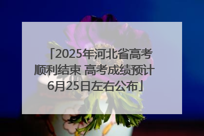 2025年河北省高考顺利结束 高考成绩预计6月25日左右公布