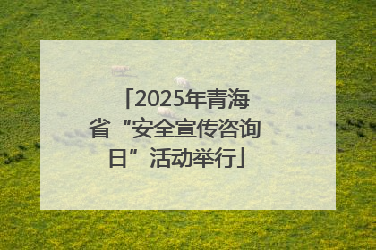 2025年青海省“安全宣传咨询日”活动举行