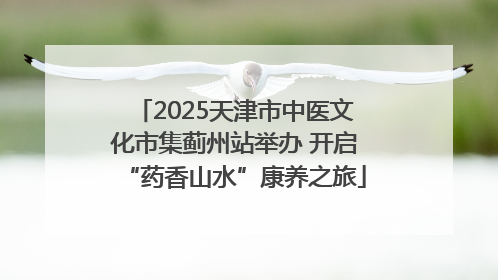 2025天津市中医文化市集蓟州站举办 开启“药香山水”康养之旅