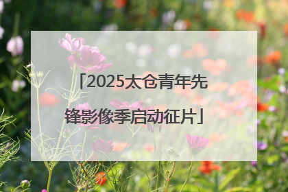 2025太仓青年先锋影像季启动征片
